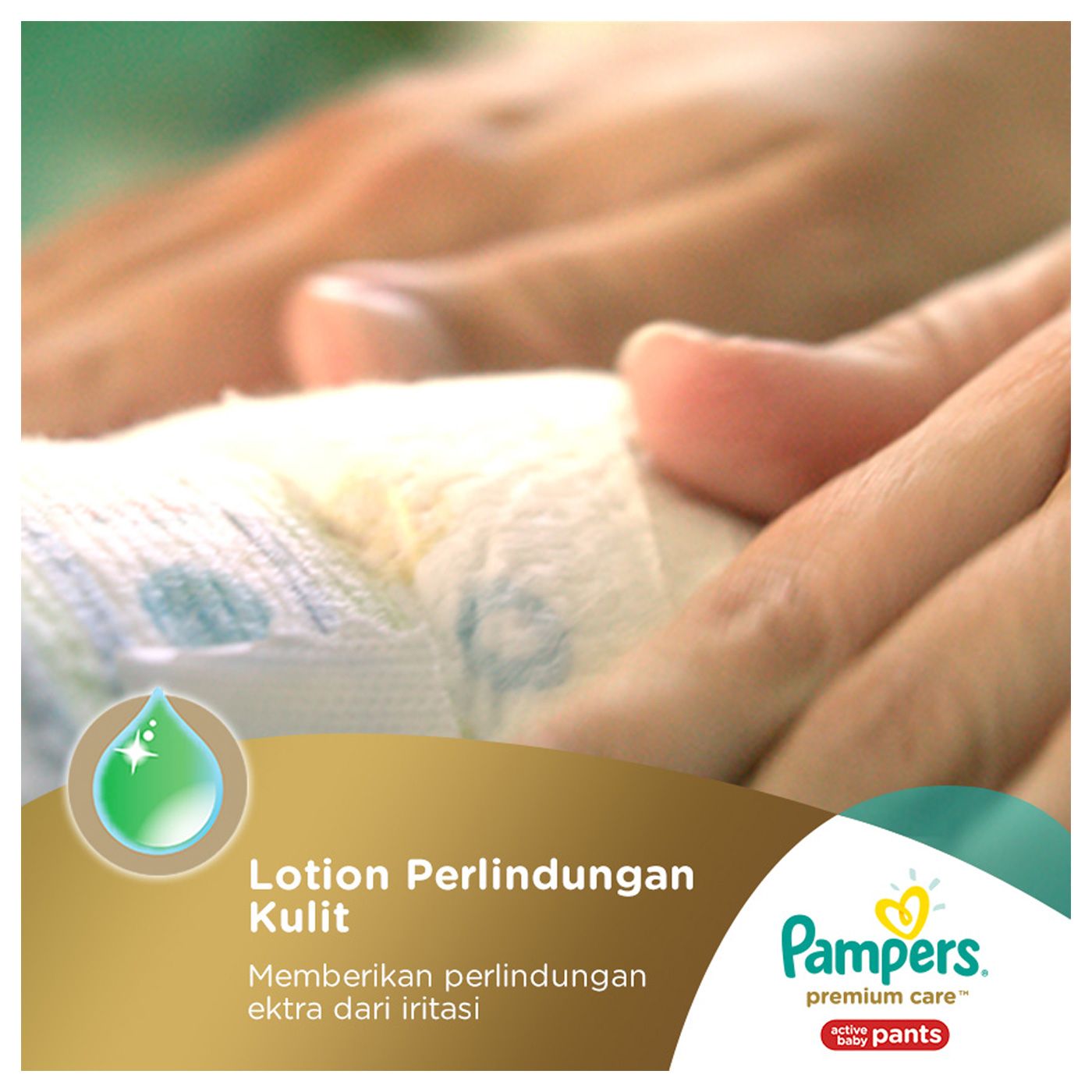 Pampers Popok Celana XXL-17 Premium Care - 3