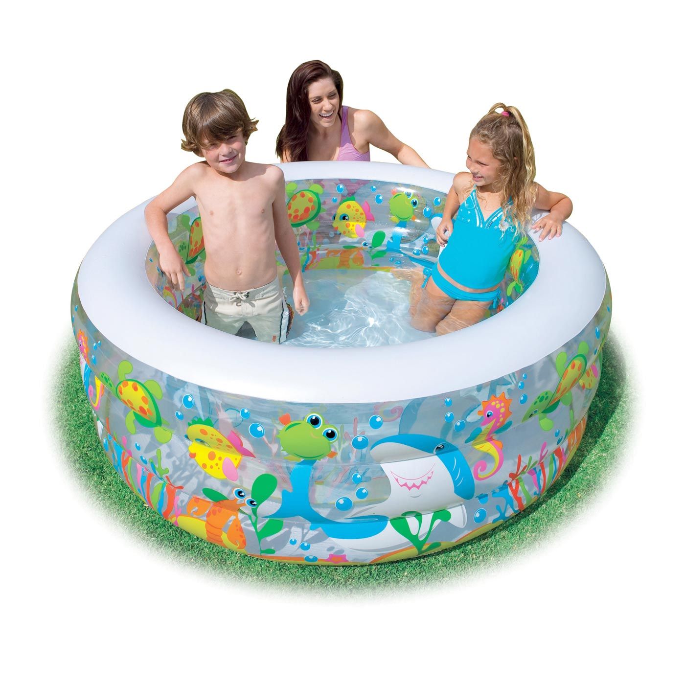 Free Gift Intex Aquarium Pool - 1