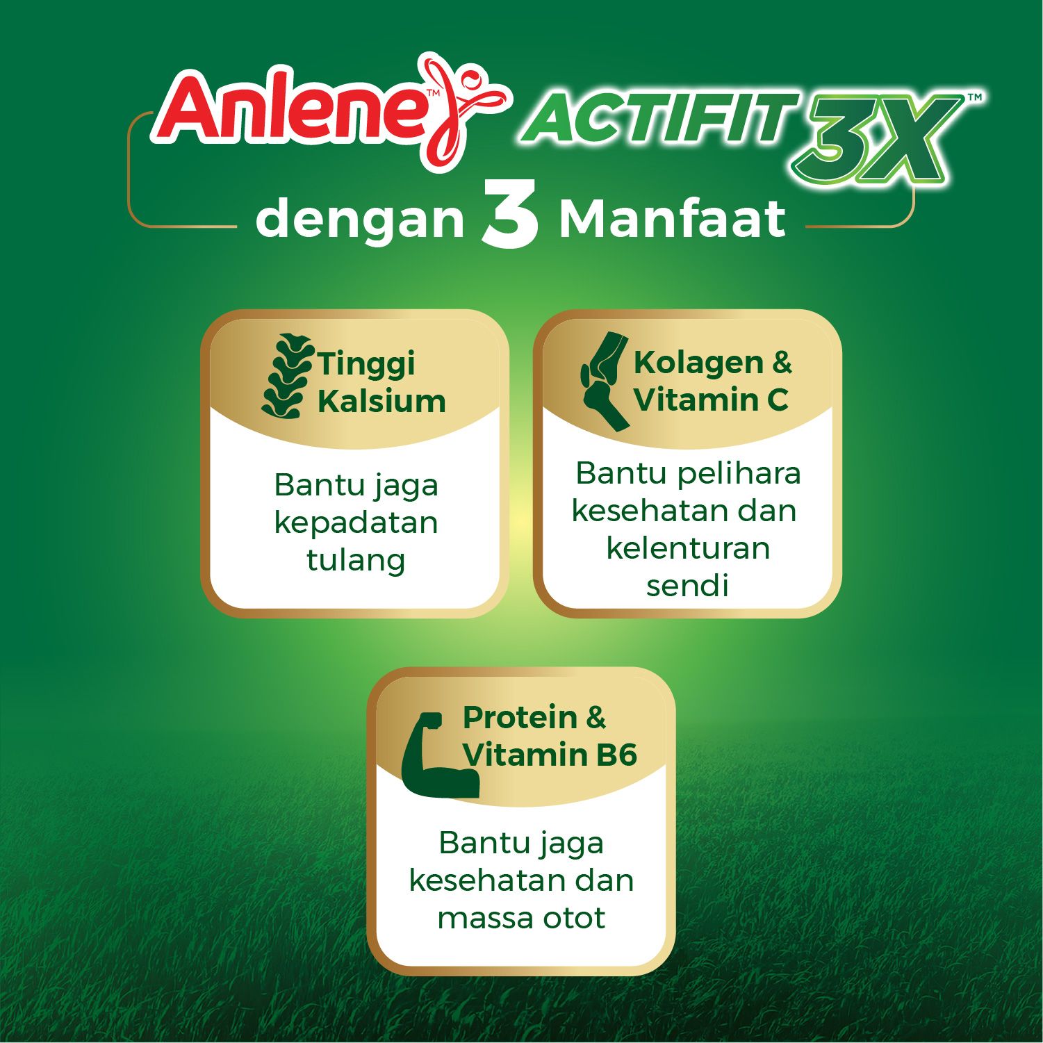 Anlene Actifit Cokelat 600gr - 4