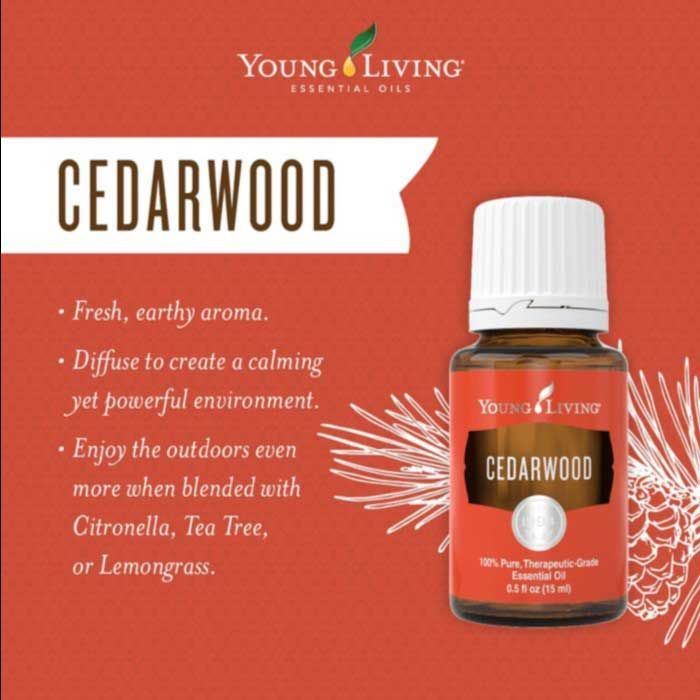 Young Living Essential Oil - Cedarwood 15ML - 1