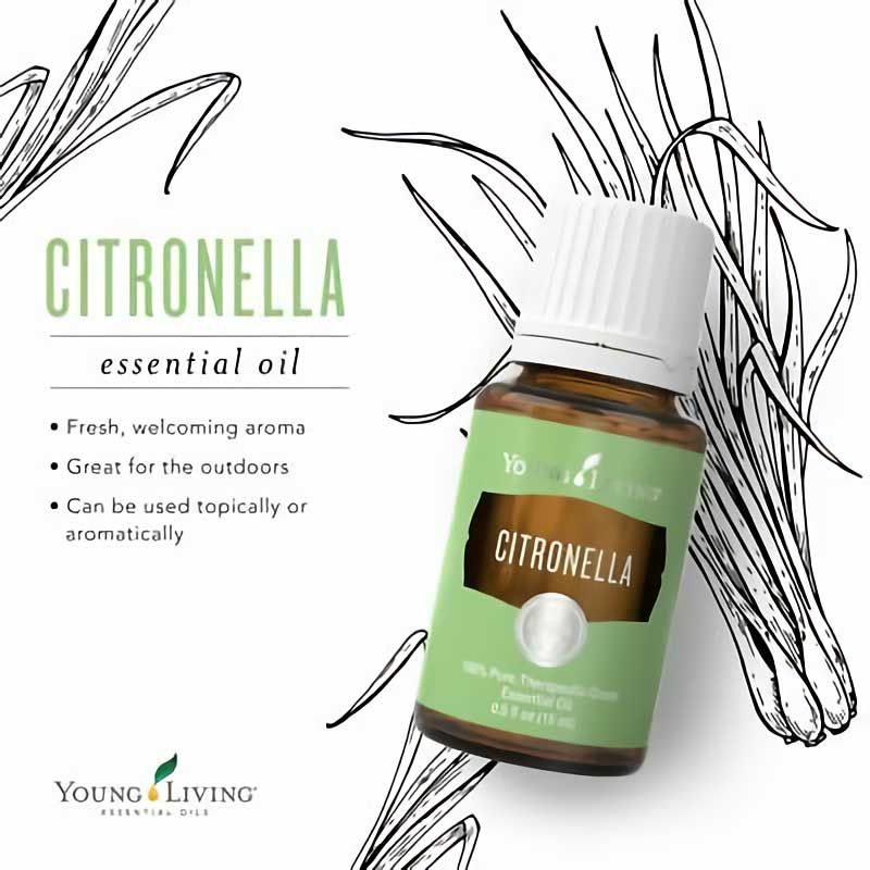 Young Living Essential Oil - Citronella 15ML - 1