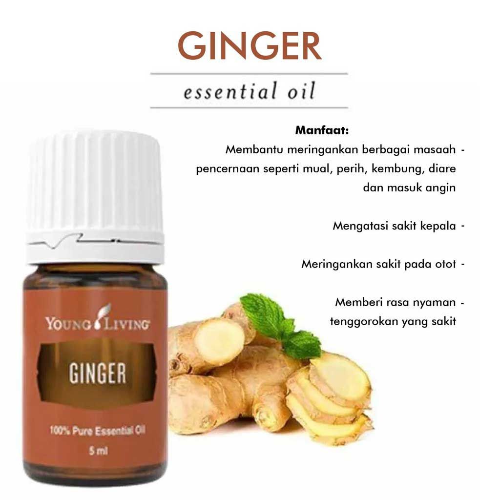 Young Living Essential oil - Ginger 5ml - 1