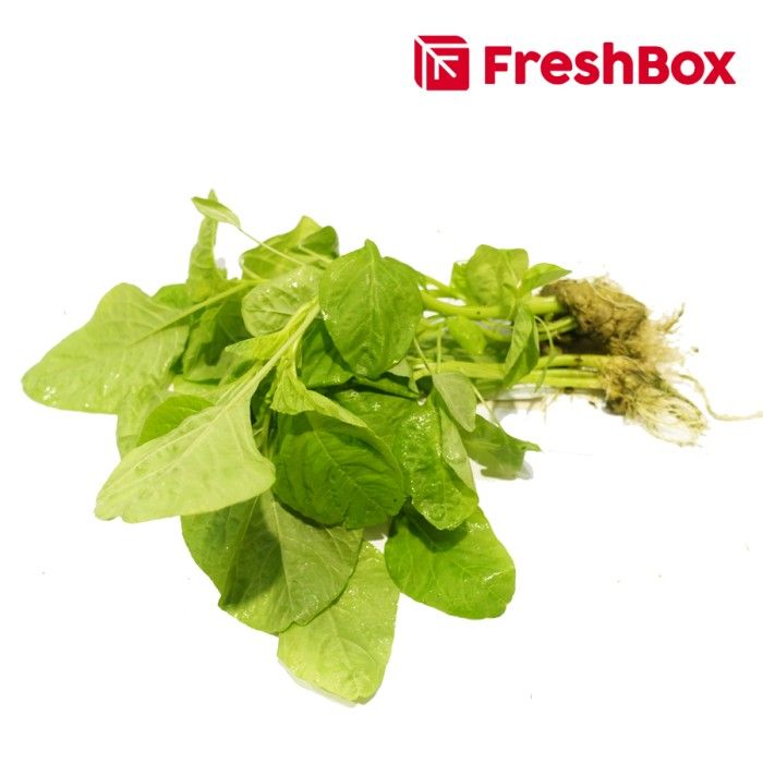 Bayam Hijau Hidroponik 250 gr FreshBox - 1