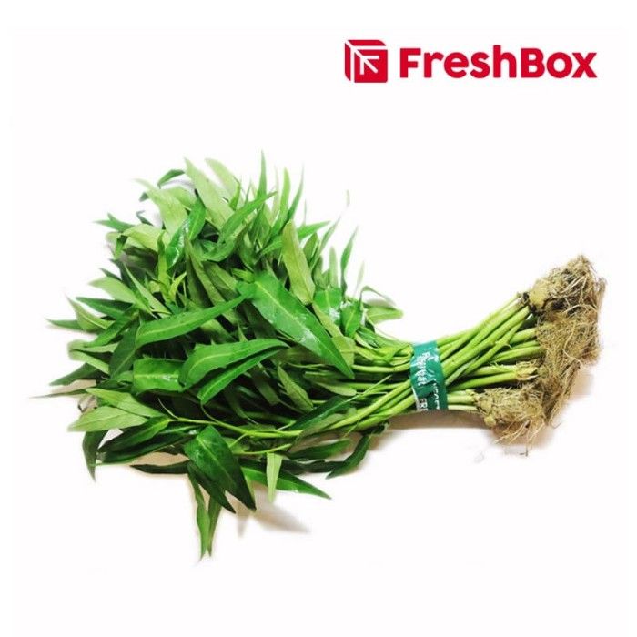 Kangkung Hidroponik 250 gr FreshBox - 1