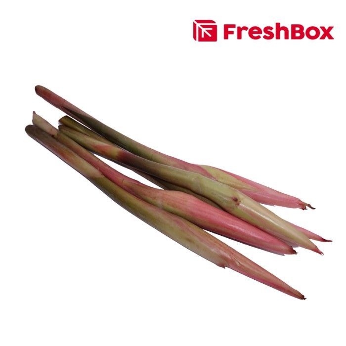 Kecombrang Dengan 1/2 Batang 200 - 250 gr FreshBox - 1