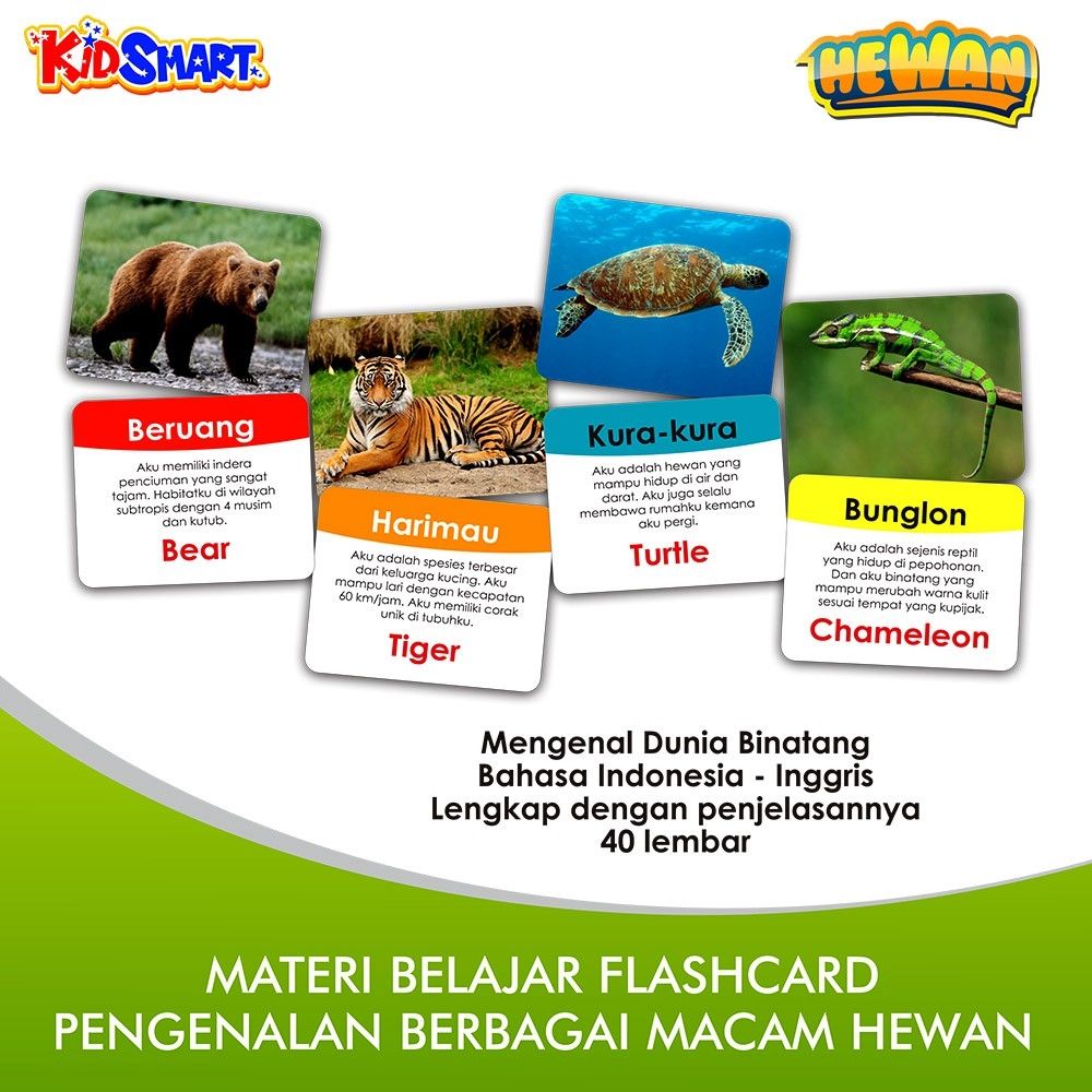 Flash Card Kartu Pintar Anak - Ayo Mengenal Hewan - 2