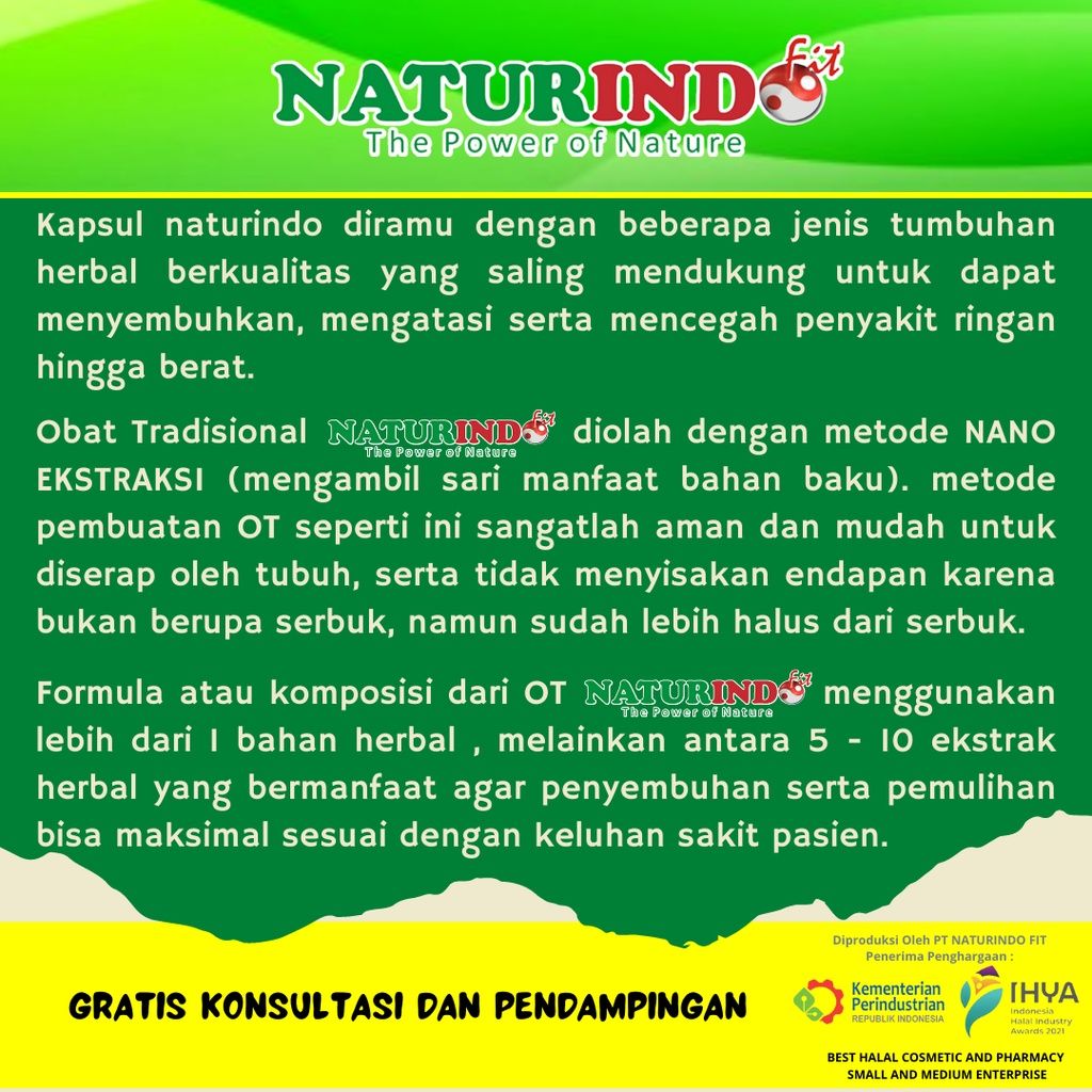 Obat Benjolan di Leher Benjolan Payudara Lipoma Pos k Naturindo Fit Original BPOM - 2