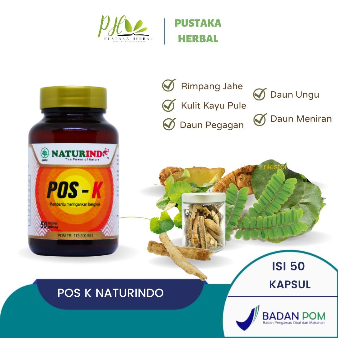 Obat Benjolan di Leher Benjolan Payudara Lipoma Pos k Naturindo Fit Original BPOM - 1