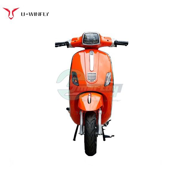 Sepeda Motor Listrik Uwinfly T3 T 3 Baterai Lithium T-3 800 Watt Off The Road - 3