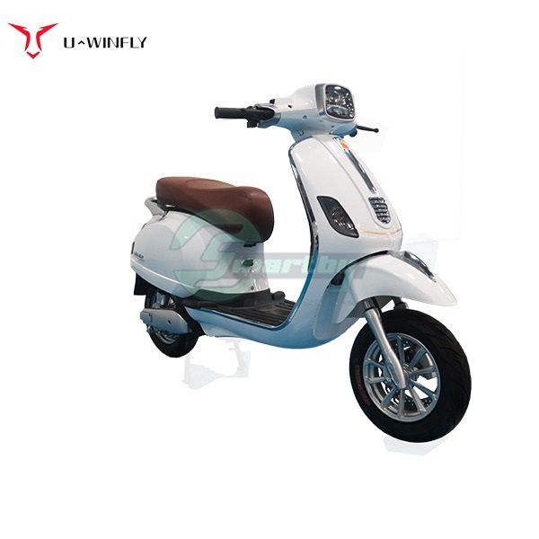 Sepeda Motor Listrik Uwinfly T3 T 3 Baterai Lithium T-3 800 Watt Off The Road - 1