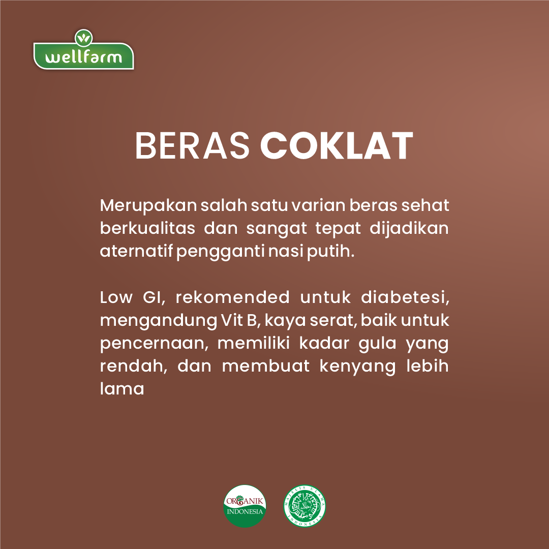 Beras Coklat Wangi Organik Super Premium - WellFarm - 3