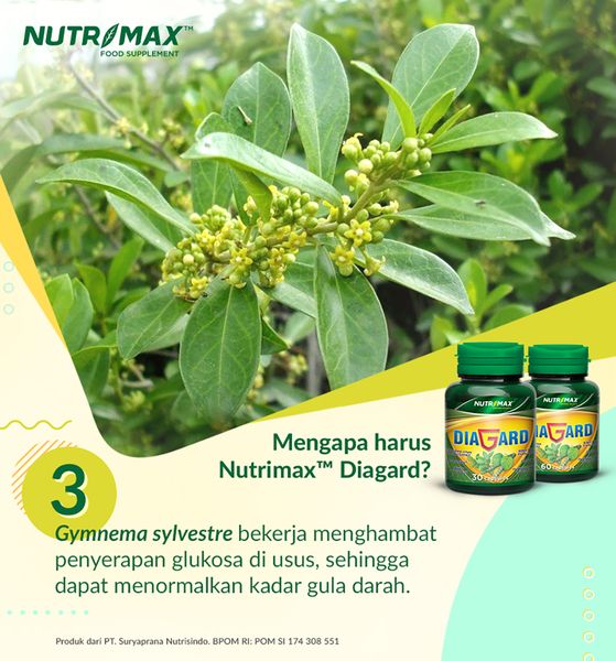 Nutrimax Diagard untuk Gula Darah Diabetes Kencing Manis Insulin Pankreas Antioksidan Anti Mikroba - 5