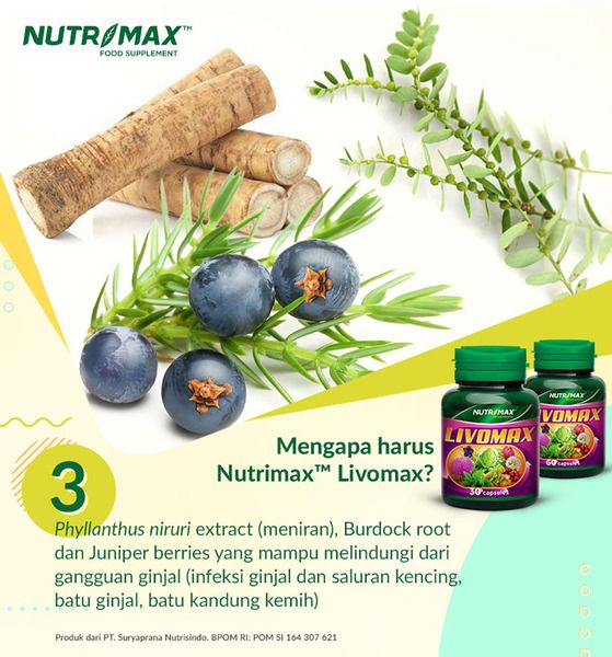 Nutrimax Livomax untuk Detoksifikasi Kesehatan Tubuh Liver Hati Ginjal Asam Urat - 5