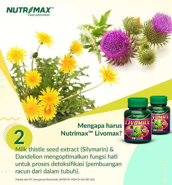 Nutrimax Livomax untuk Detoksifikasi Kesehatan Tubuh Liver Hati Ginjal Asam Urat - 4