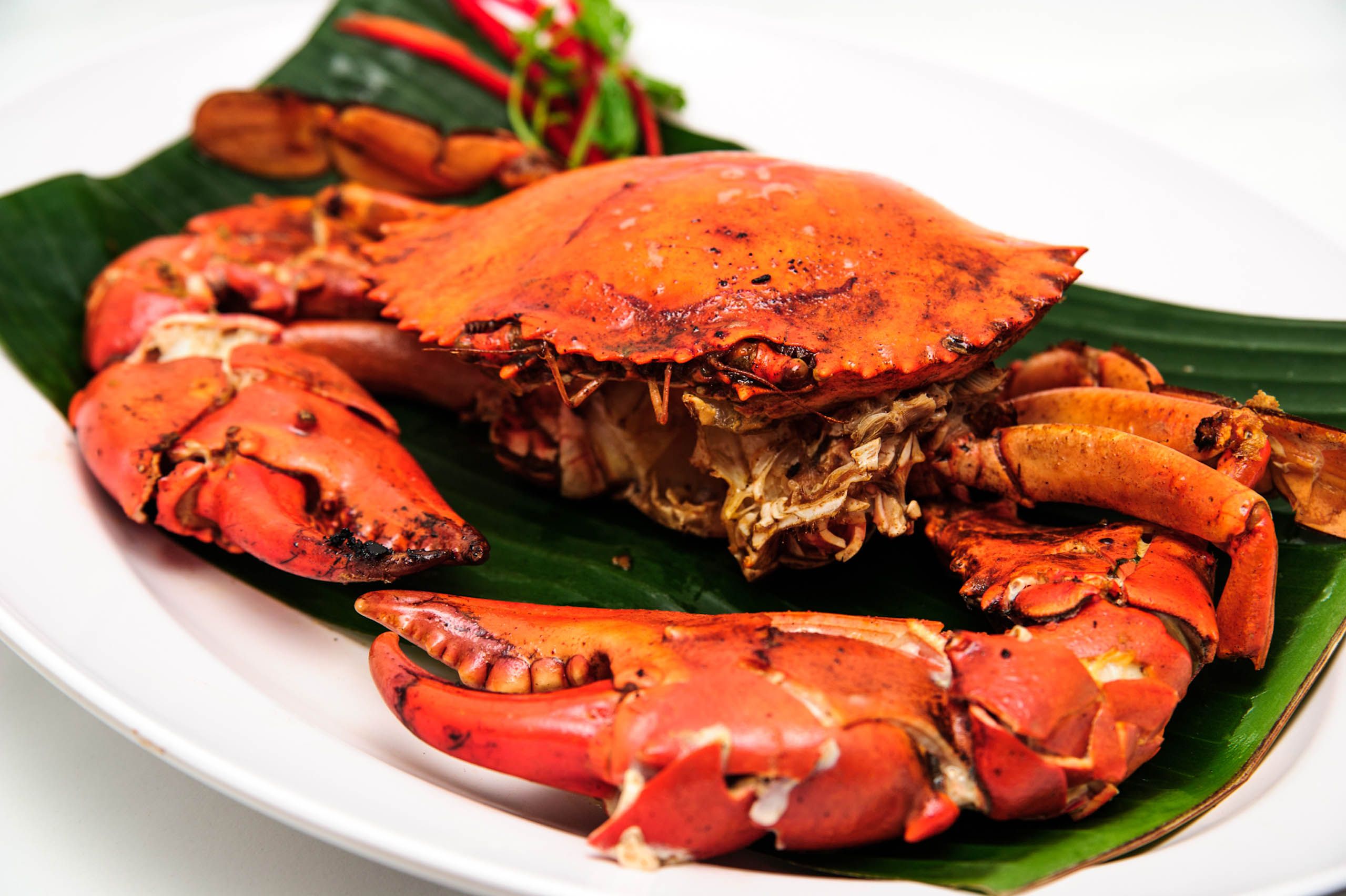 Resep Kepiting Lada Hitam