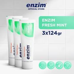 ENZIM FRESH MINT 124 GR - 3 pcs