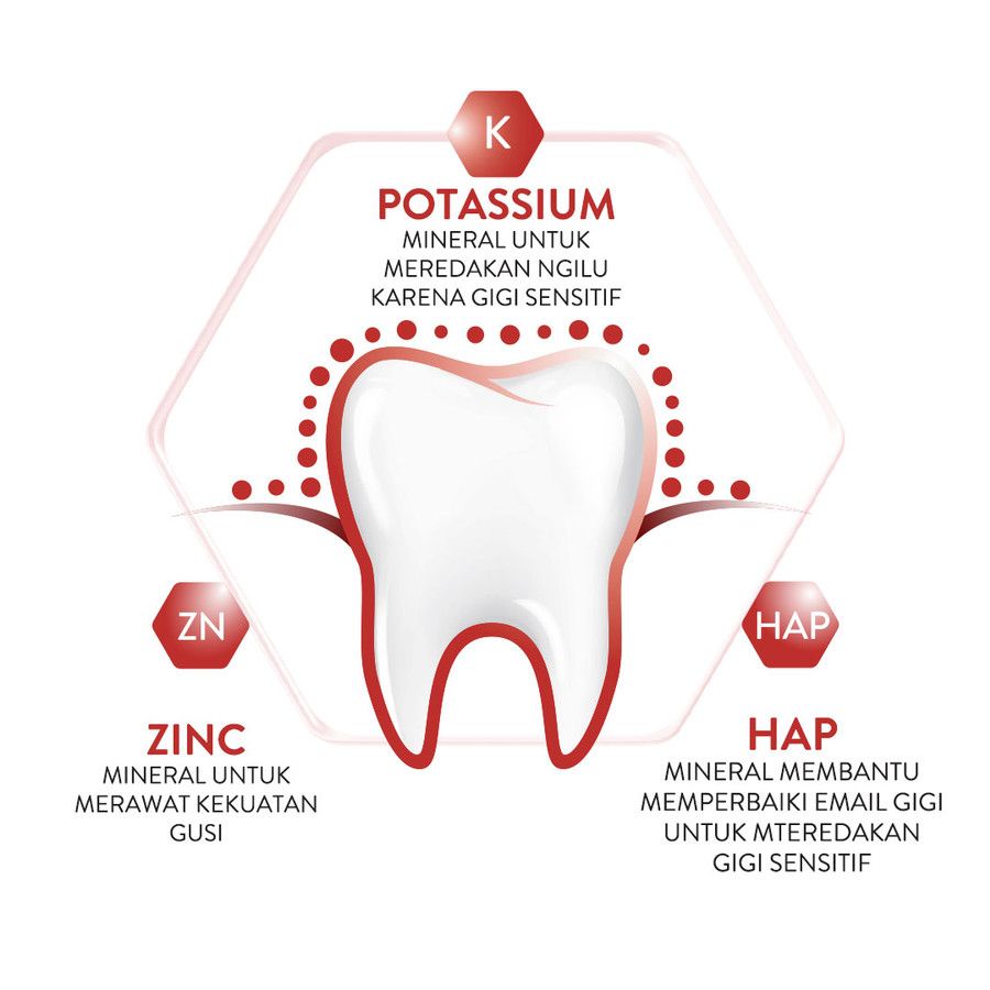Pepsodent Sensitive Expert Pasta Gigi Gum Care 100G - 4
