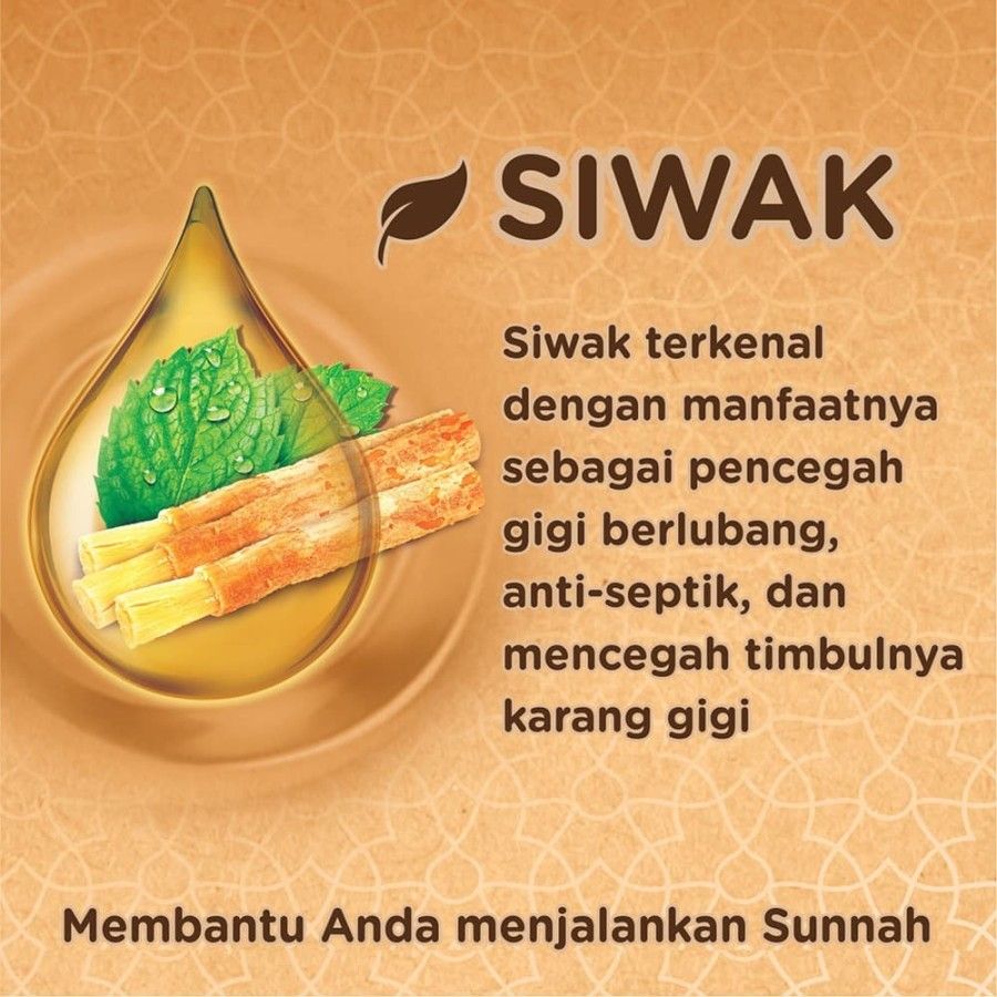 Pepsodent Action 123 Siwak 190G - 4