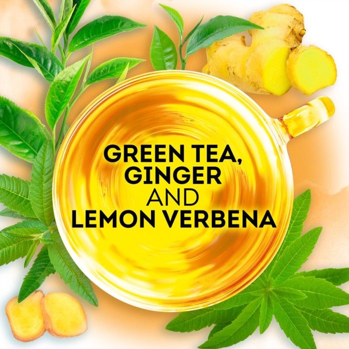 Lipton Tea Ritual Green Tea Ginger & Lemon Verbena Isi 15 - 1