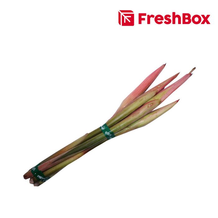 Kecombrang Dengan Batang Utuh 200 - 250 gram FreshBox - 1