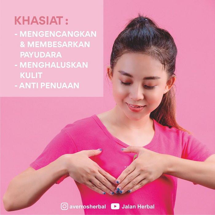Miss B&B Turtle Oil Pembesar Payudara dan Pengencang Payudara - 2