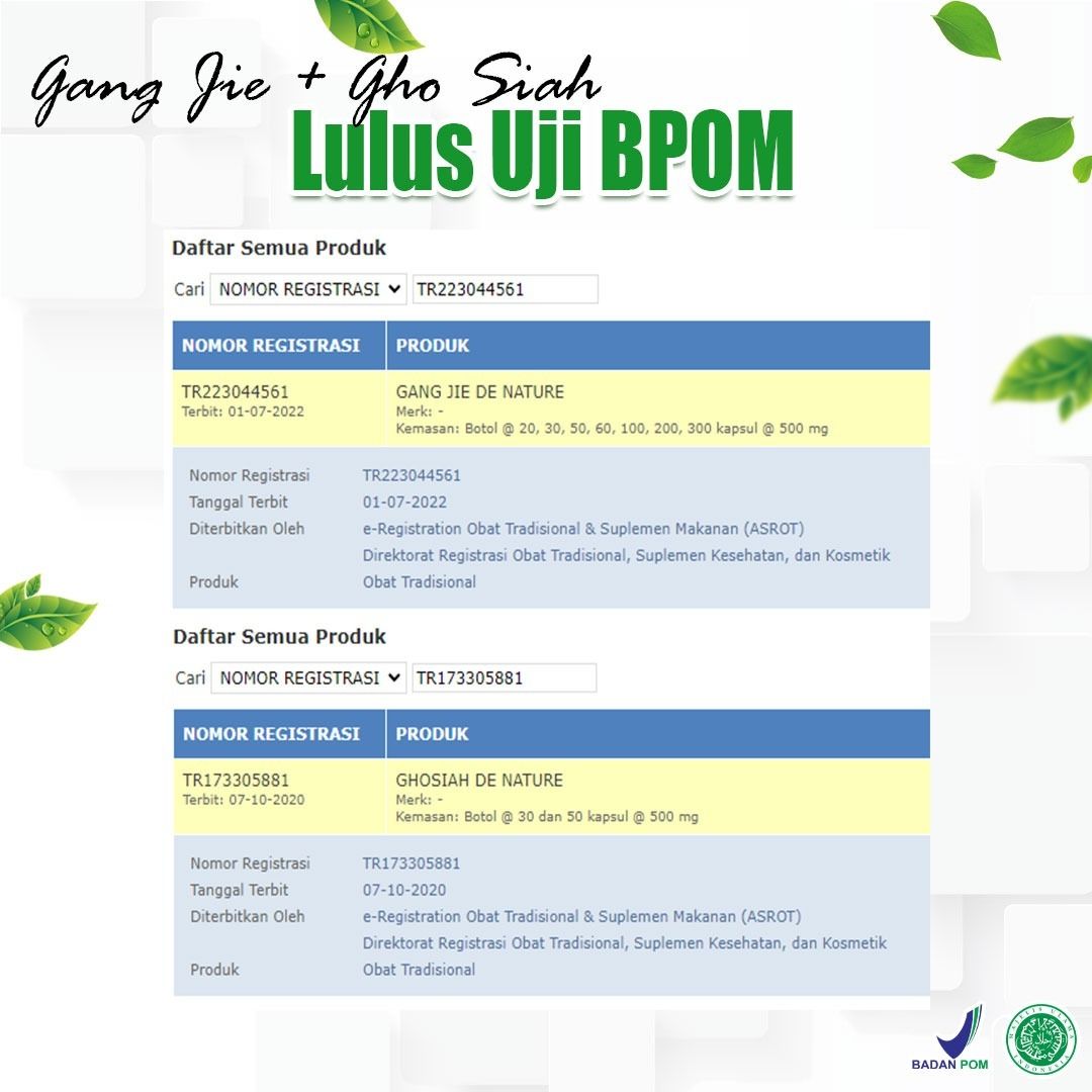 Gangjie Ghosiah Obat Sipilis Kencing Nanah Gonore Herbal De Nature - 2