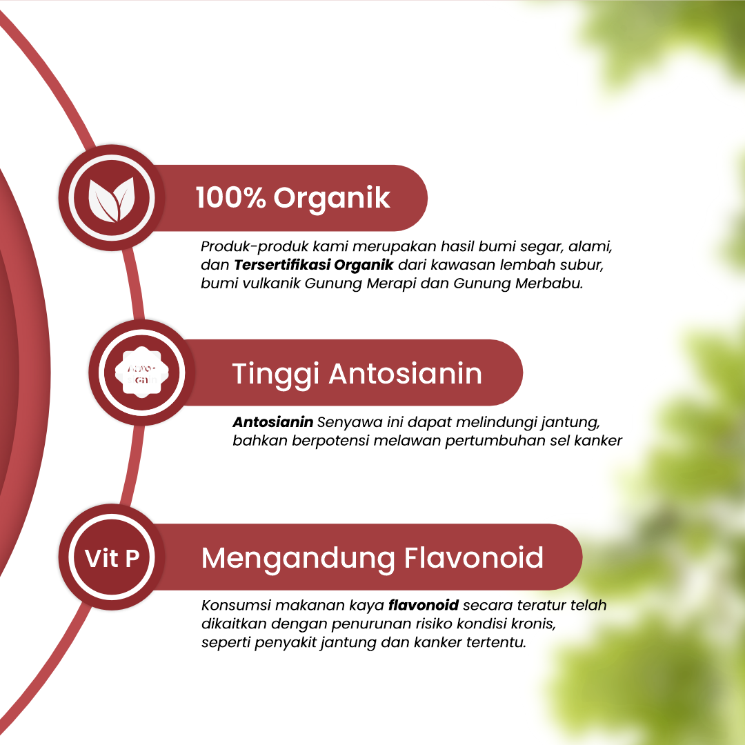 Obirice. Beras Organik Untuk Kesehatan Jantung & Kolesterol - WellFarm - 2
