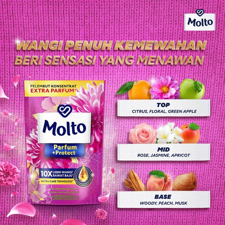 Molto Pelembut & Pewangi All-in-1 Pink 10Ml - 1 Karton - 2