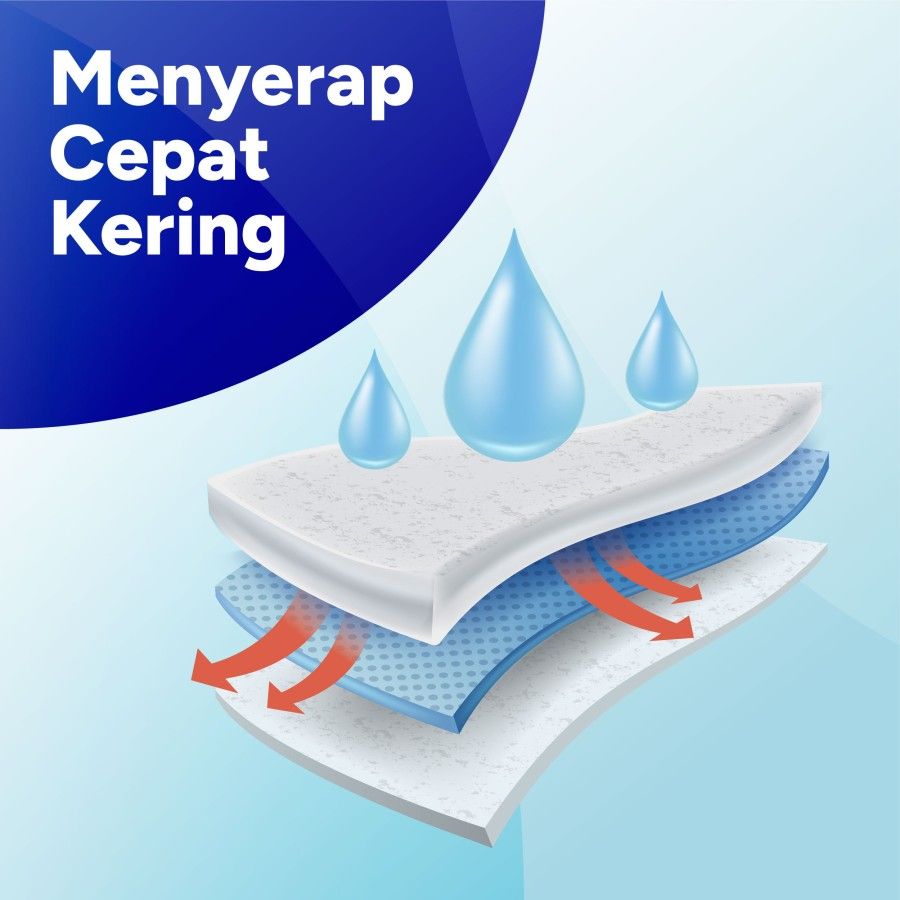 Confidence Popok Celana Dewasa Tipis & Pas XL6 [SEGARI ONLY] - 4