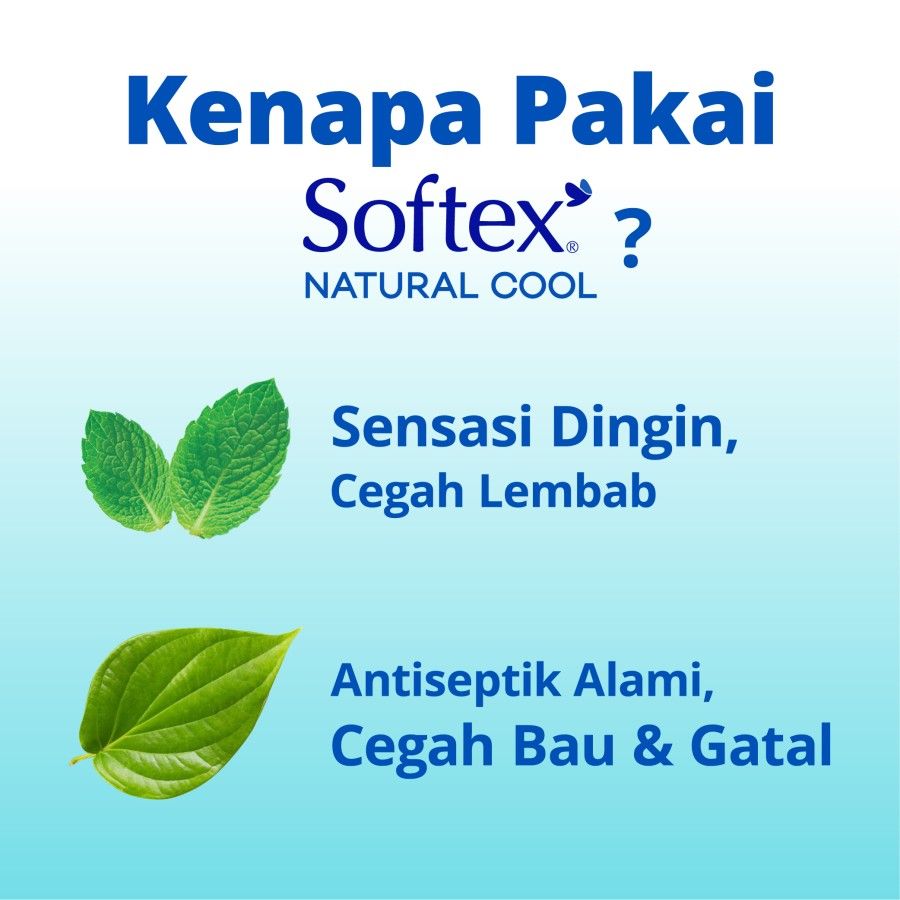 Softex Natural Cool+ Super Slim 36cm 8 pads [SEGARI ONLY] - 2
